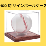 100 均 サインボールケース