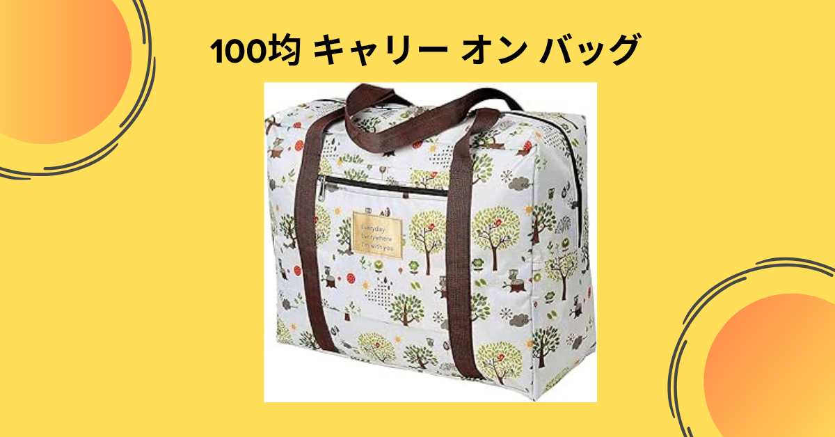 100均 キャリー オン バッグ