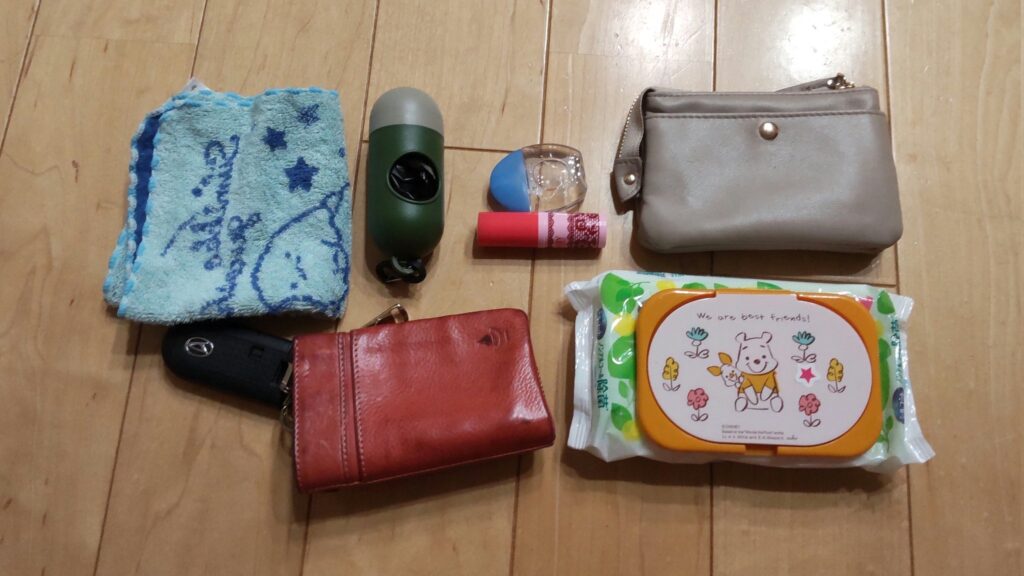 100均ポーチ目薬用