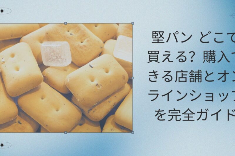 堅パン どこで買える？購入できる店舗とオンラインショップを完全ガイド