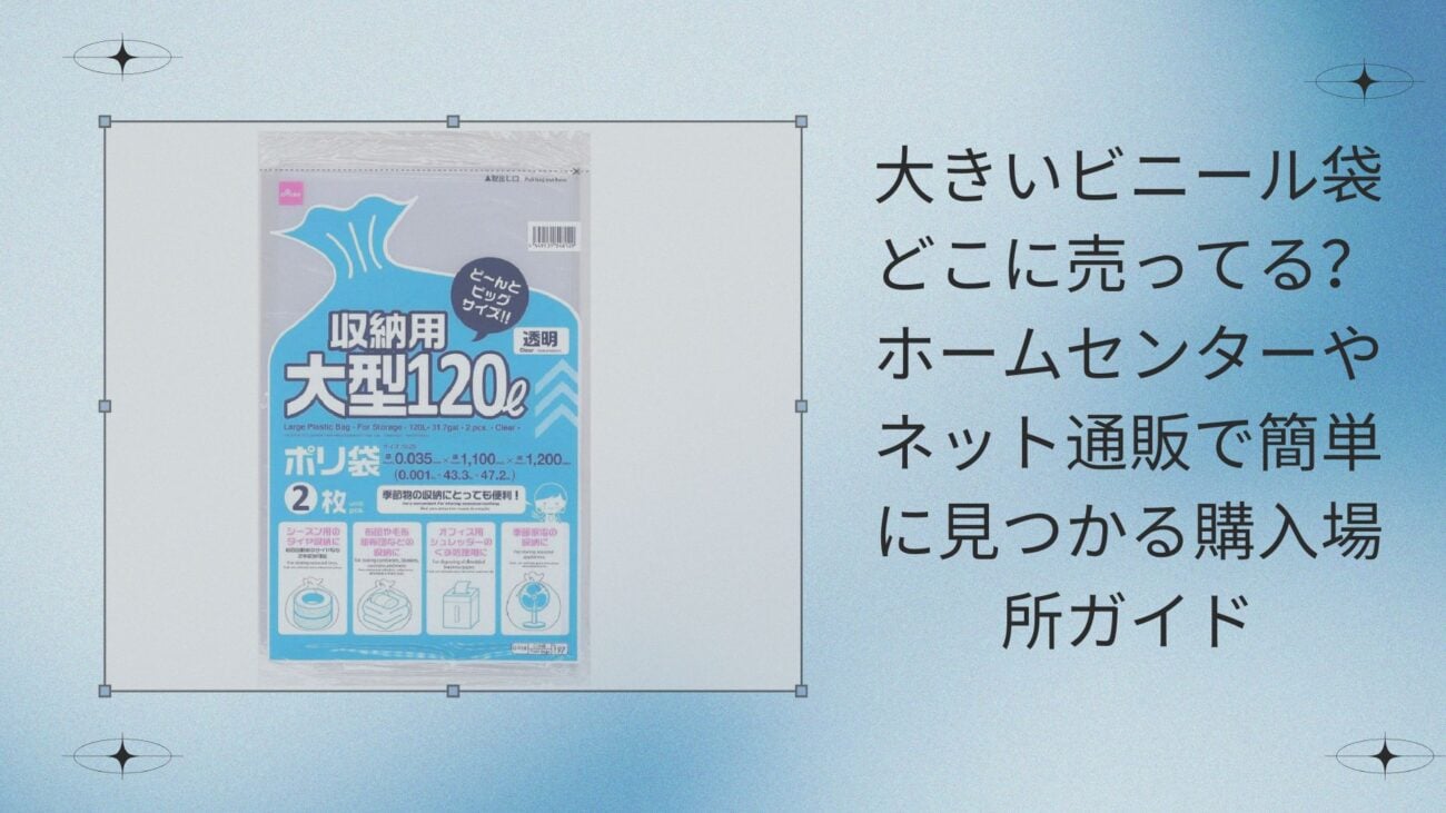 大きいビニール袋どこに売ってる